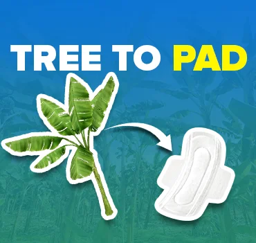 Trees to Pad